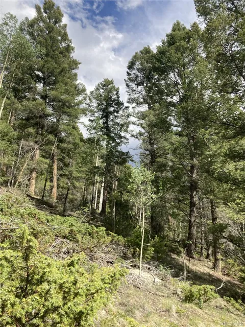 Lot 6858 Starkweather Road