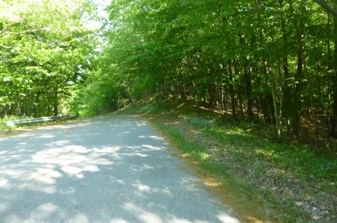 Point Betsie Road
