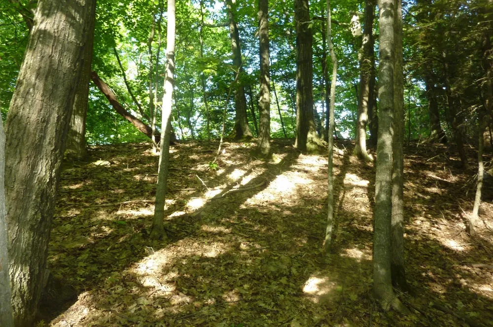 Point Betsie Road Lake Township, MI 49635