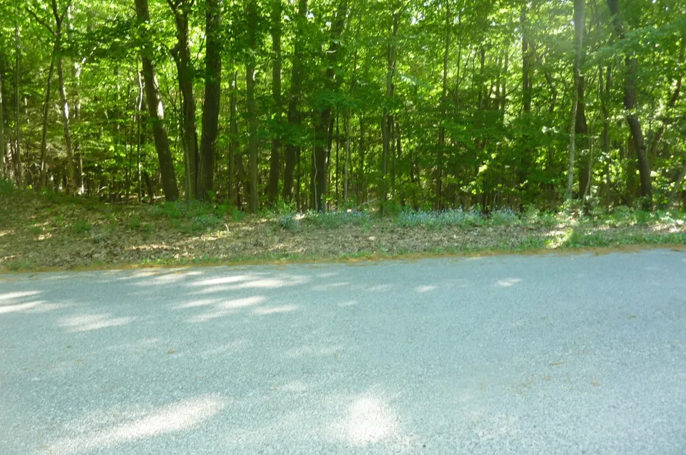 Point Betsie Road Lake Township, MI 49635