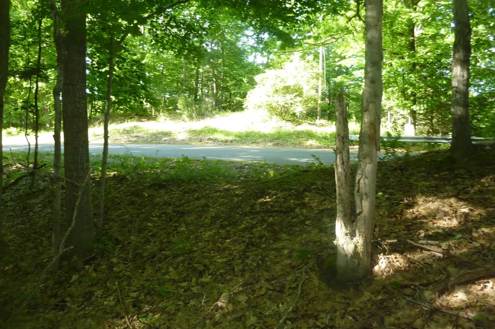Point Betsie Road Lake Township, MI 49635