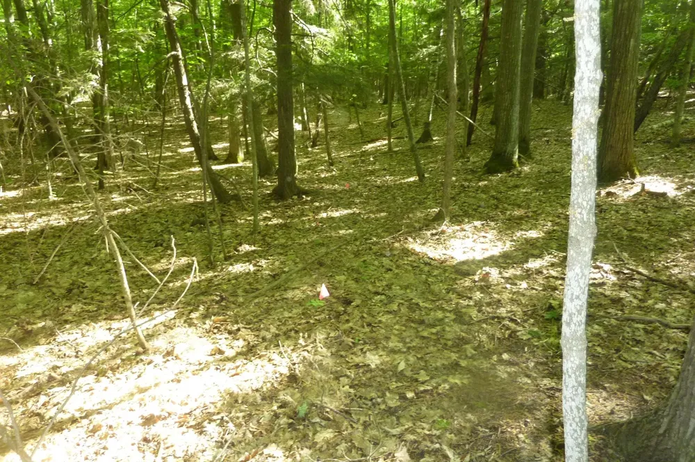 Point Betsie Road Lake Township, MI 49635