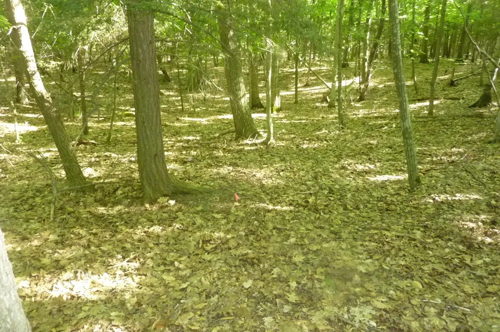 Point Betsie Road Lake Township, MI 49635