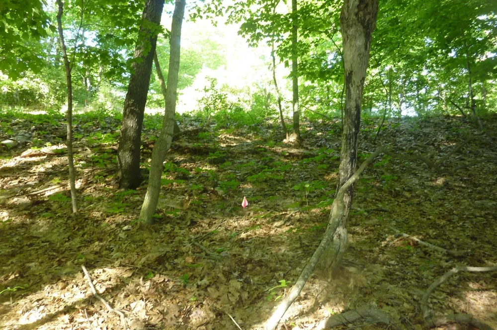 Point Betsie Road Lake Township, MI 49635