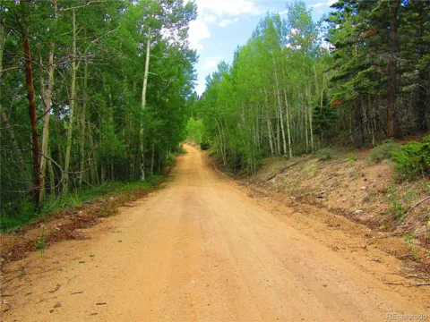 LOT 6850 Ryland Road