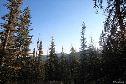 LOT 6613 Starkweather Road