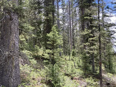 Lot 6614 Starkweather Road