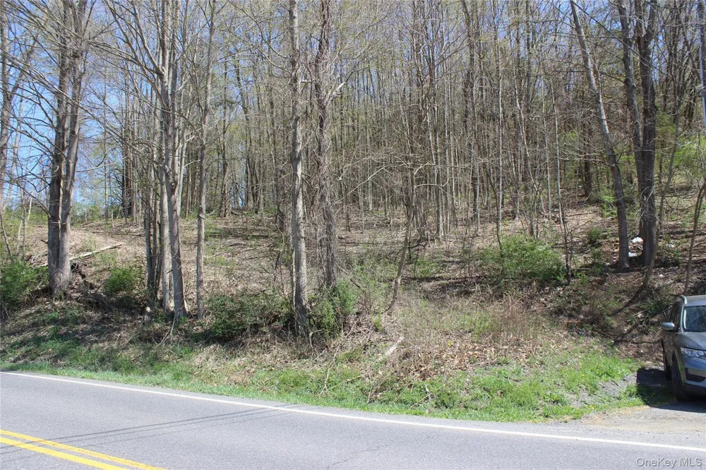 0 Old State Route 22 Amenia, NY 12501