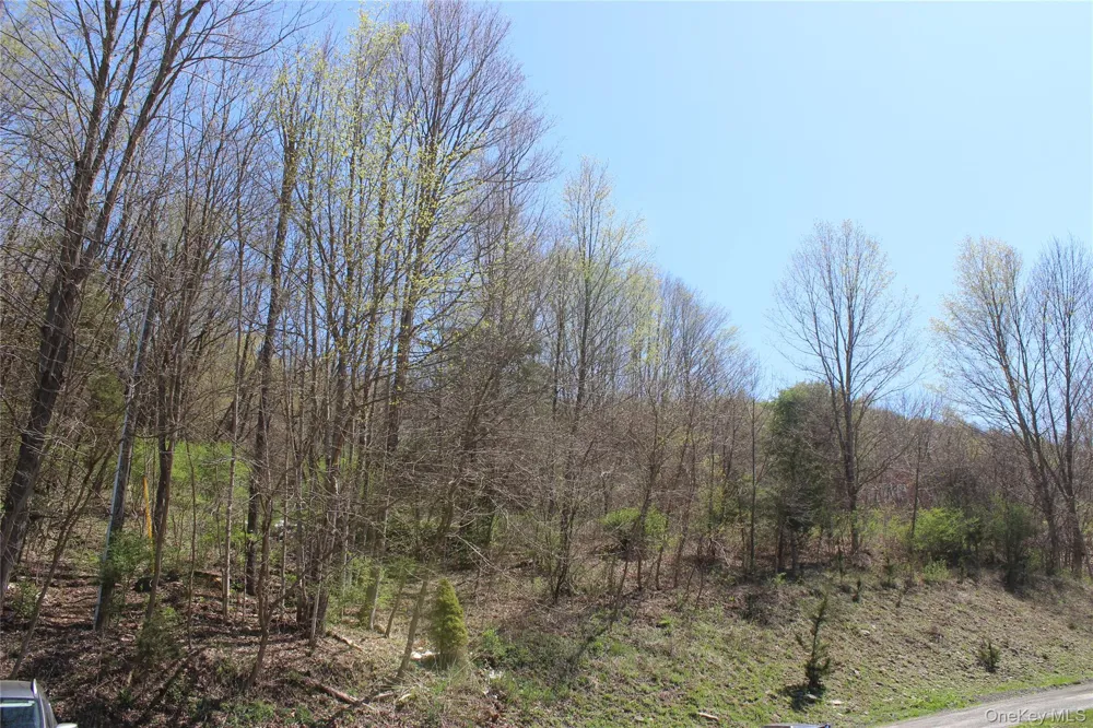 0 Old State Route 22 Amenia, NY 12501