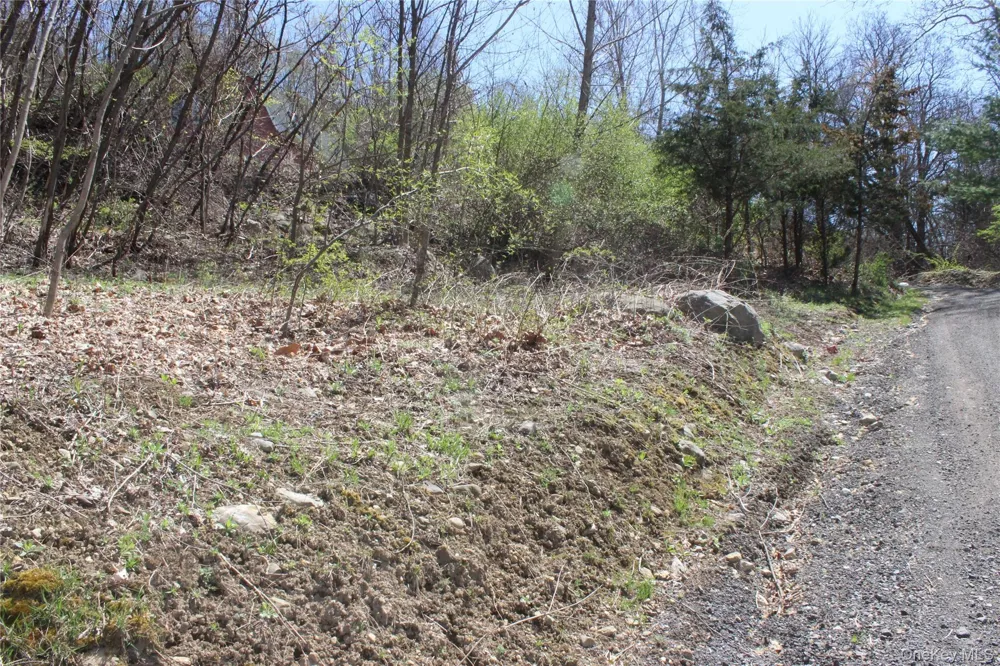 0 Old State Route 22 Amenia, NY 12501