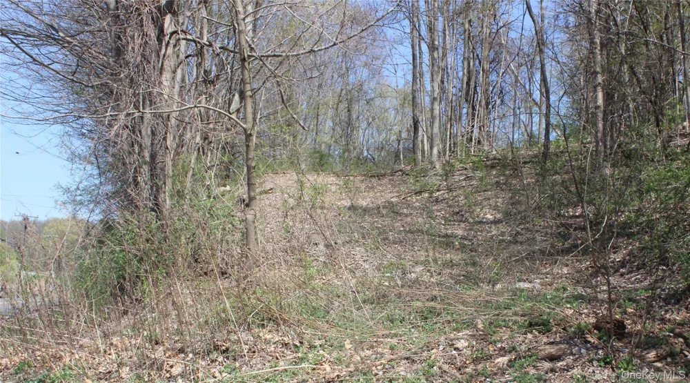 0 Old State Route 22 Amenia, NY 12501