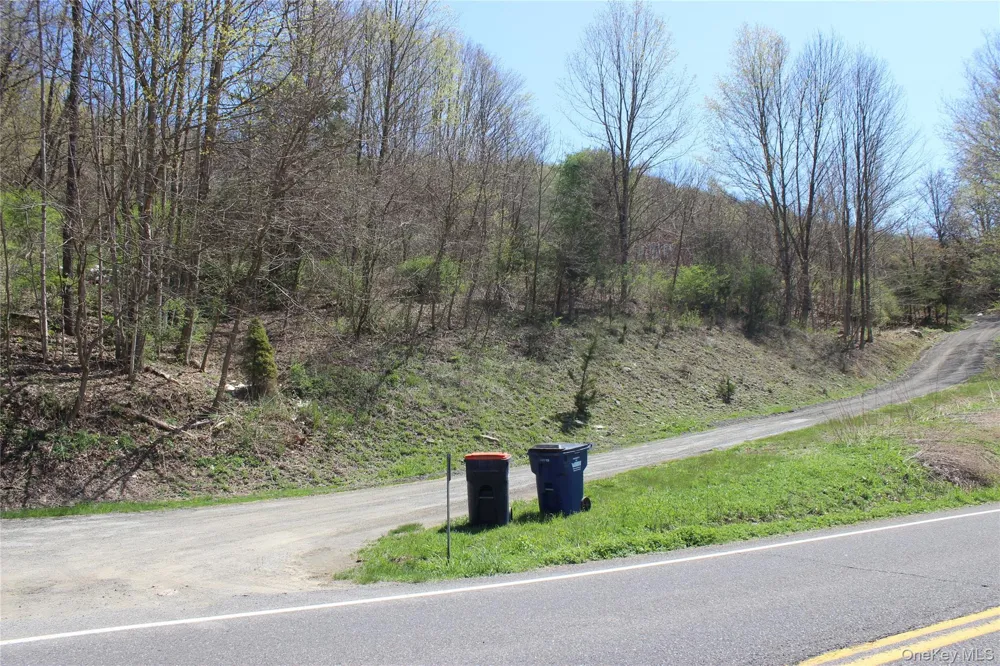 0 Old State Route 22 Amenia, NY 12501