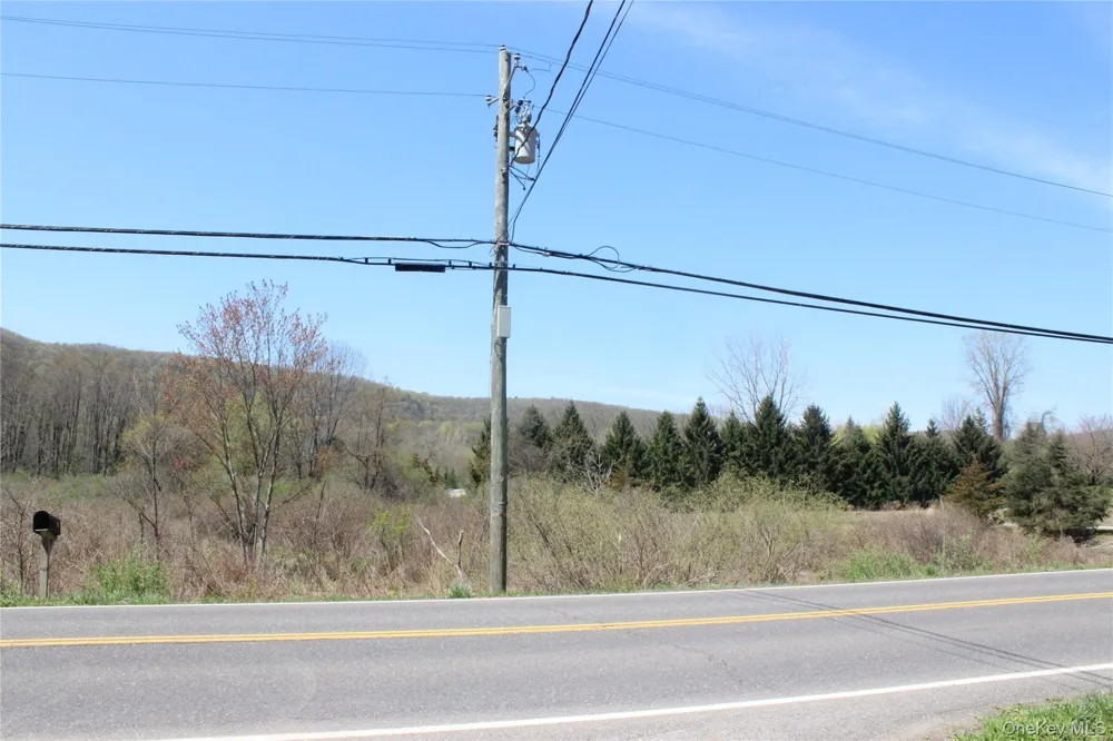 0 Old State Route 22 Amenia, NY 12501