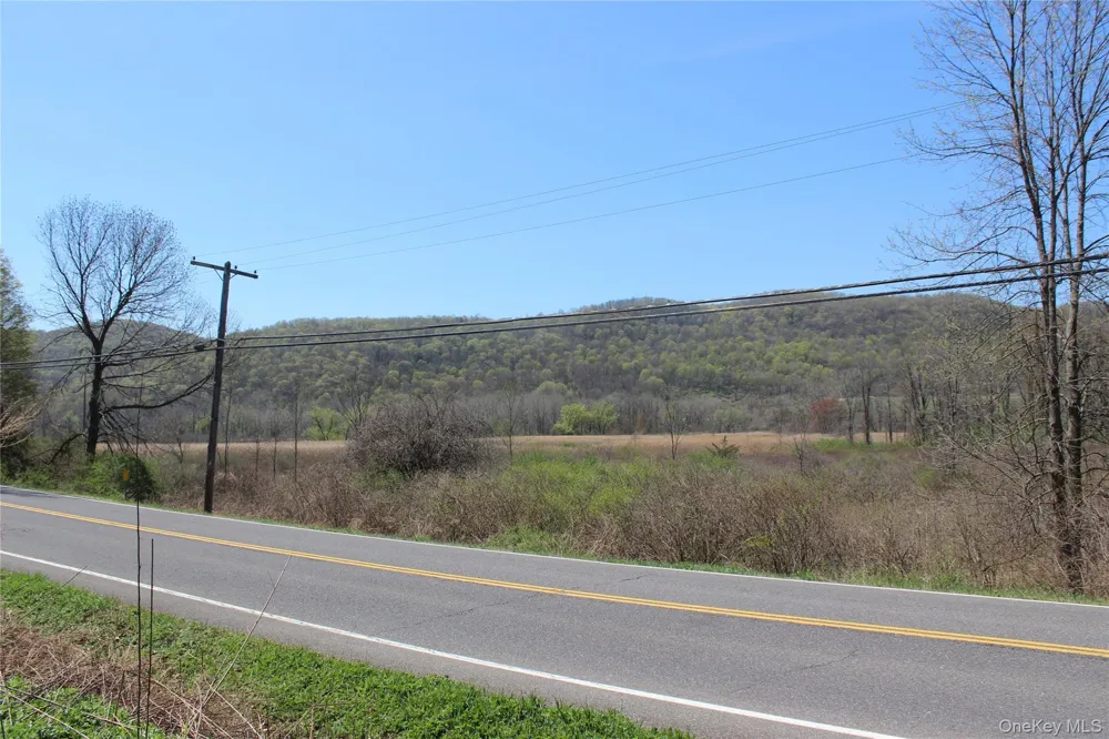 0 Old State Route 22 Amenia, NY 12501
