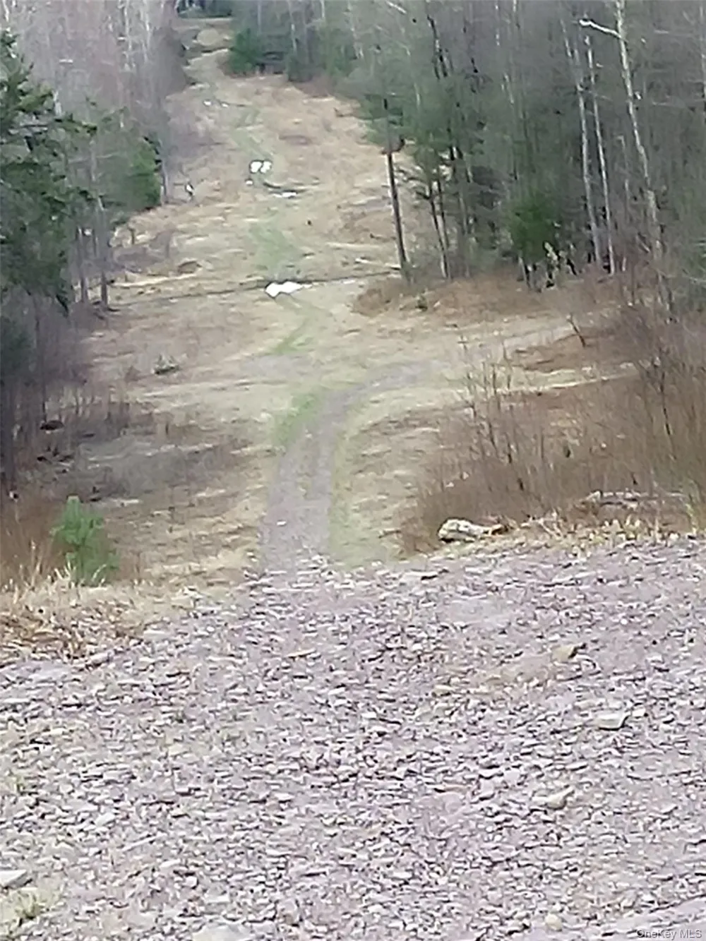 gibber Road Kiamesha Lake, NY 12751