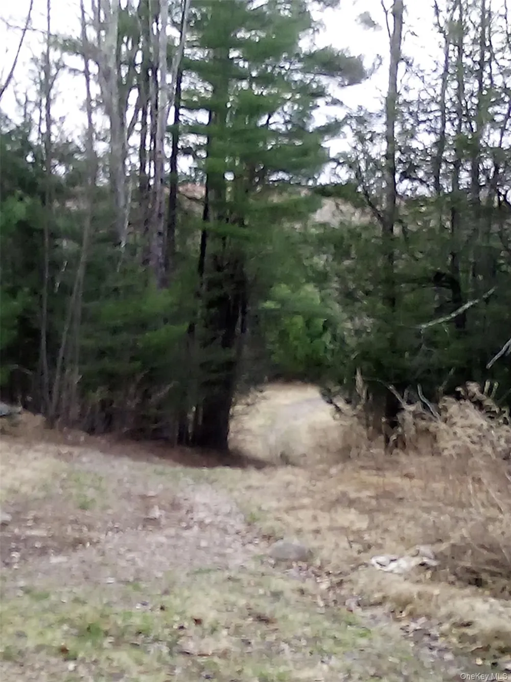 gibber Road Kiamesha Lake, NY 12751