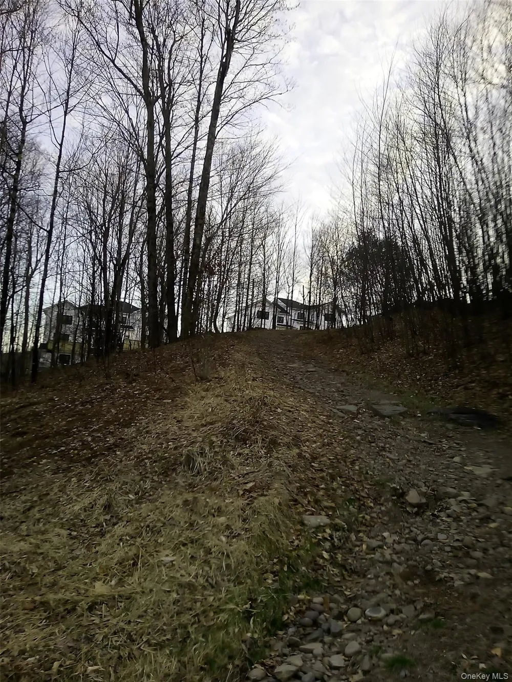 gibber Road Kiamesha Lake, NY 12751