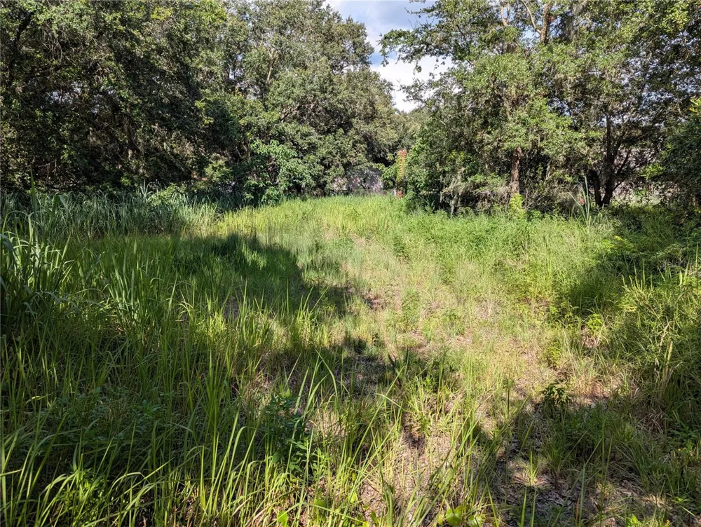 6631 MERLE STREET Mulberry, FL 33860