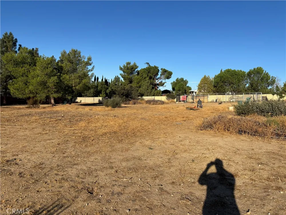 59133 Gilman Anza, CA 92539