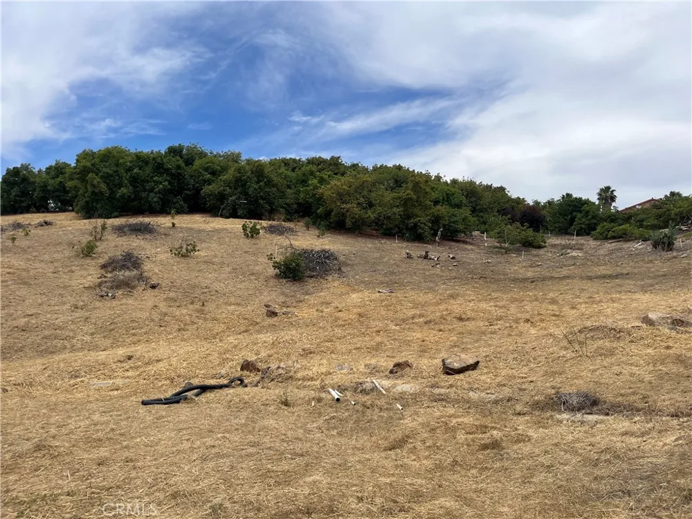 41165 Calle De Suenos Murrieta, CA 92562