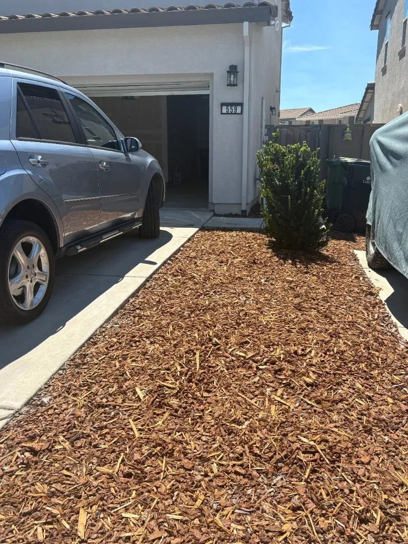 559 Lovejoy Lane Lincoln, CA 95648