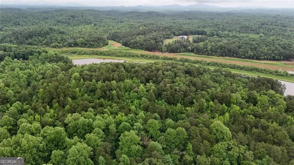 238 Shore DR Dahlonega, GA 30533