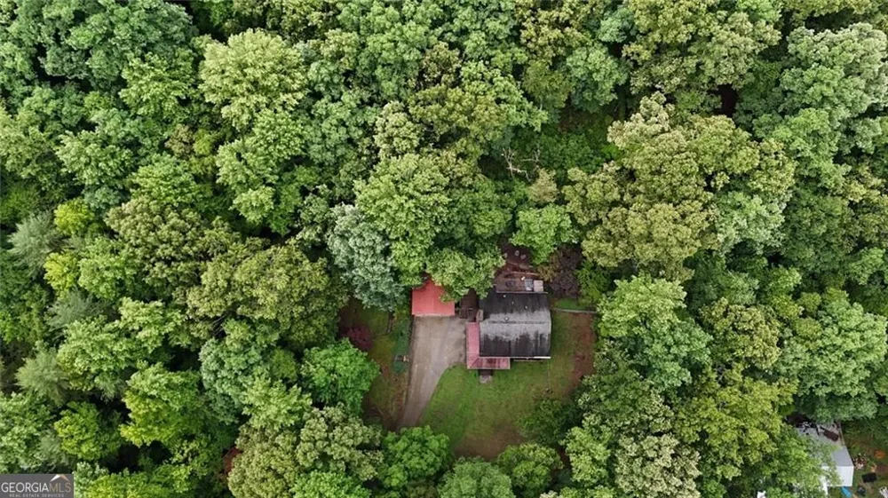 238 Shore DR Dahlonega, GA 30533
