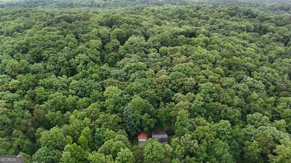 238 Shore DR Dahlonega, GA 30533
