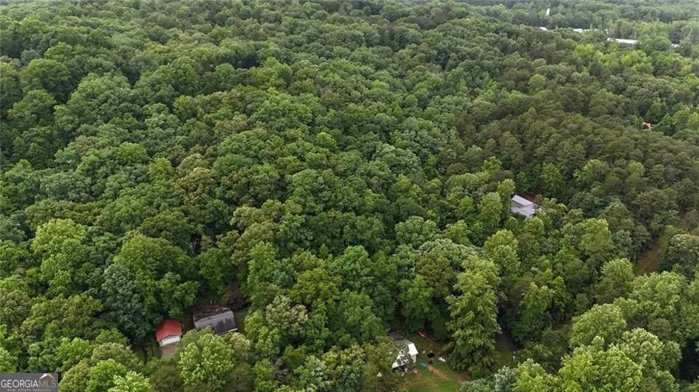 238 Shore DR Dahlonega, GA 30533