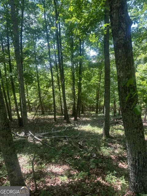 0 Owl Ridge WAY