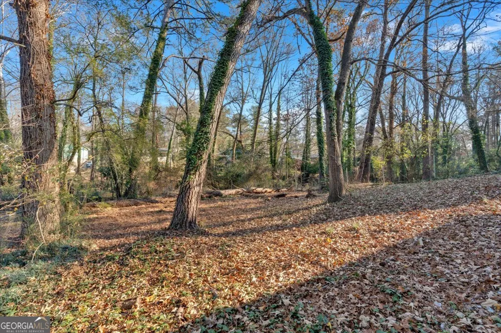 2080 Bluffton WAY Decatur, GA 30035