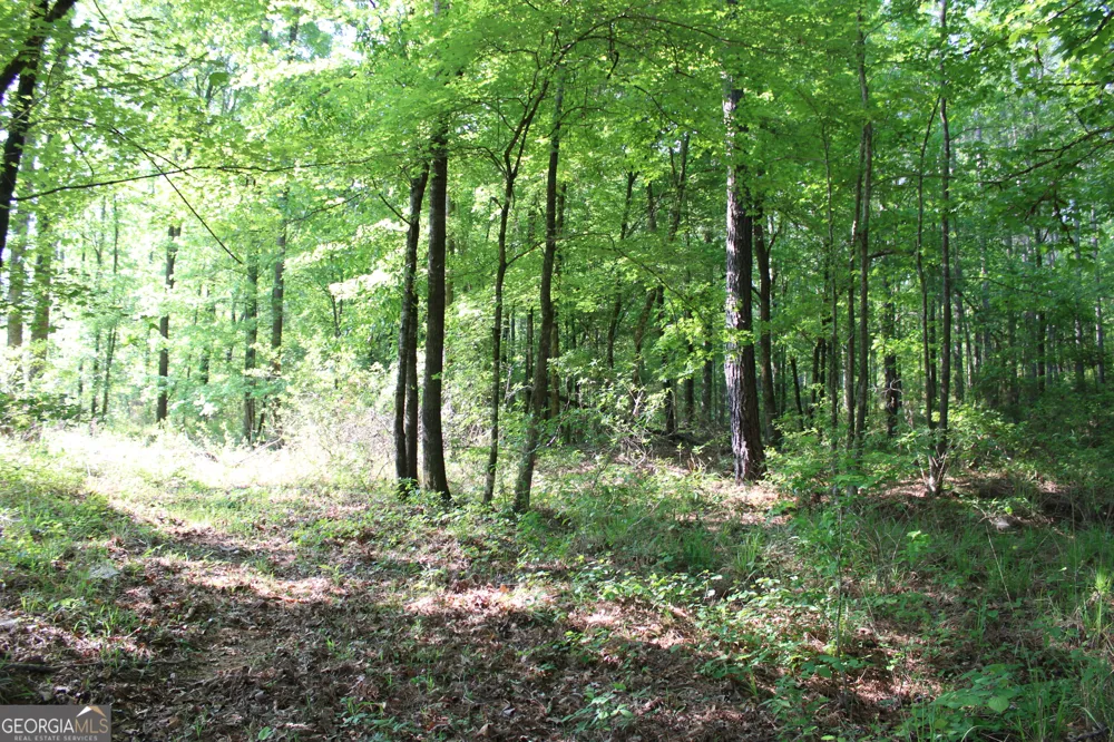 0 Ga Hwy 87 Tract 1 Forsyth, GA 31029