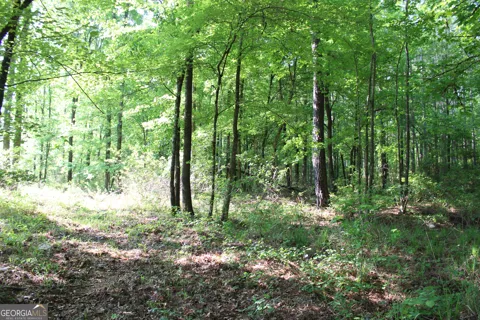 0 Ga Hwy 87 Tract 1