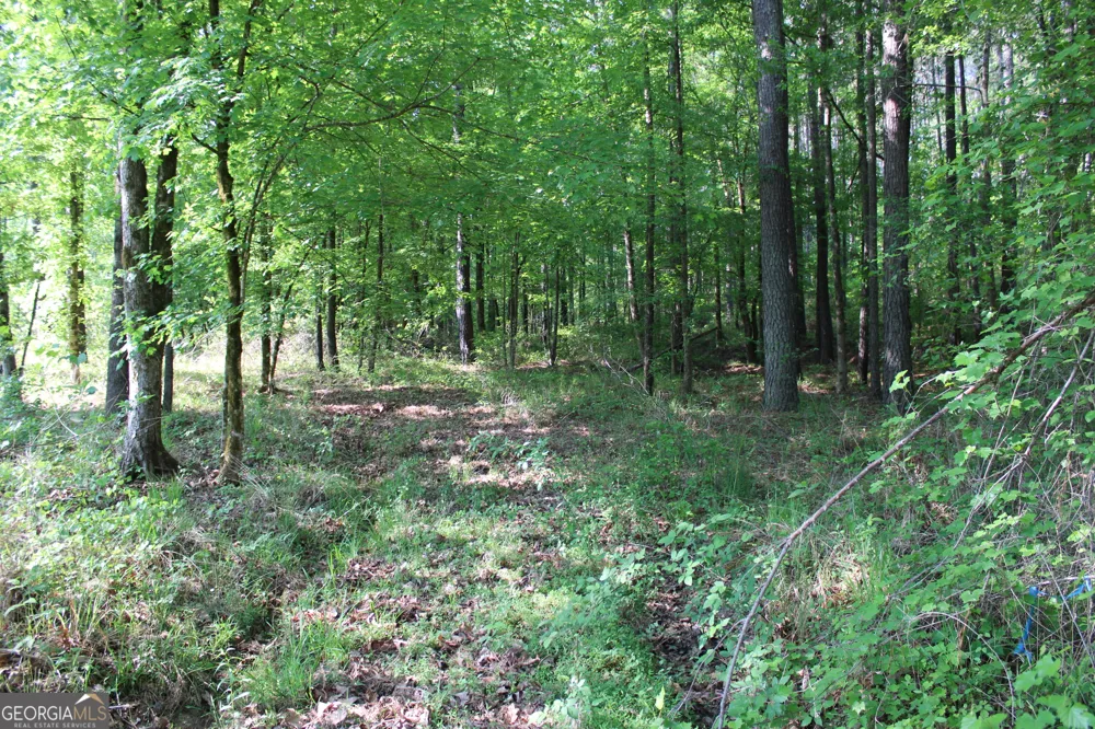 0 Ga Hwy 87 Tract 1 Forsyth, GA 31029