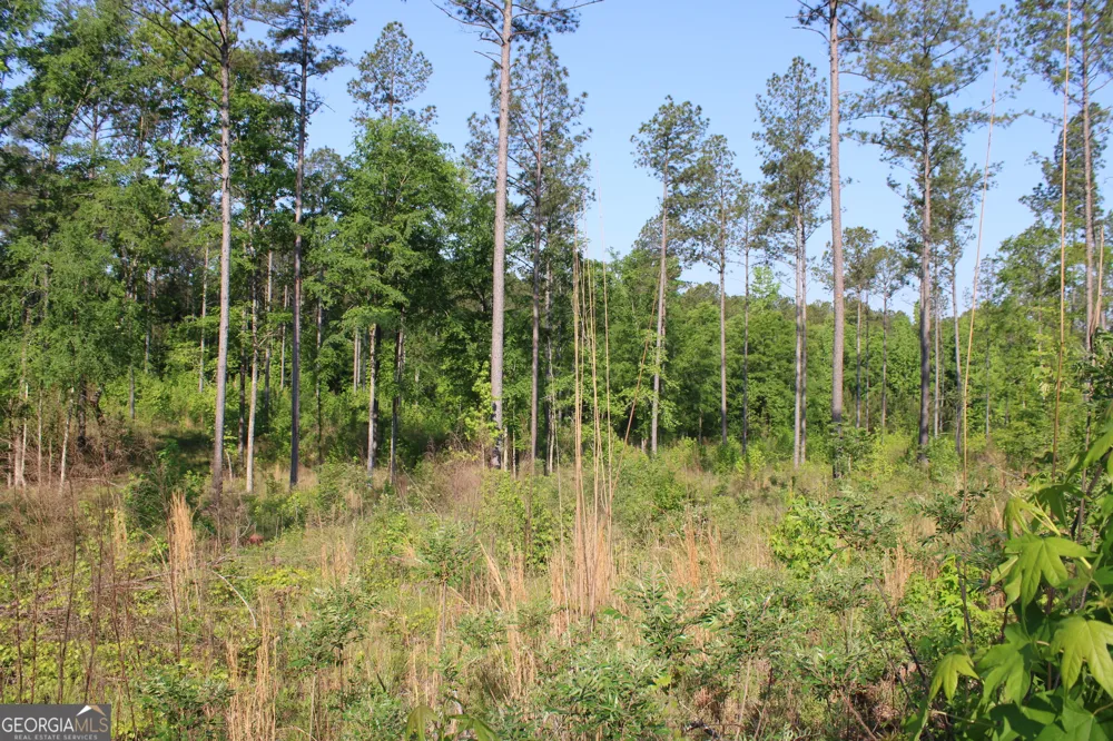 0 Ga Hwy 87 Tract 1 Forsyth, GA 31029