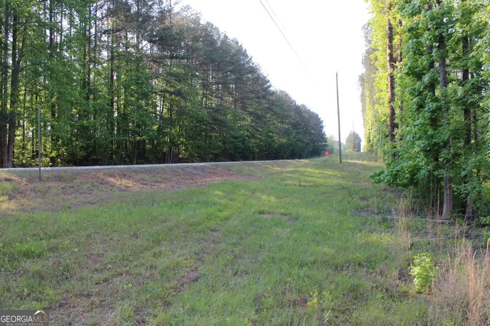 0 Ga Hwy 87 Tract 1 Forsyth, GA 31029
