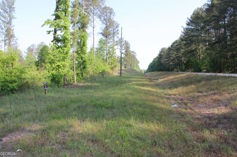 0 Ga Hwy 87 Tract 1 Forsyth, GA 31029