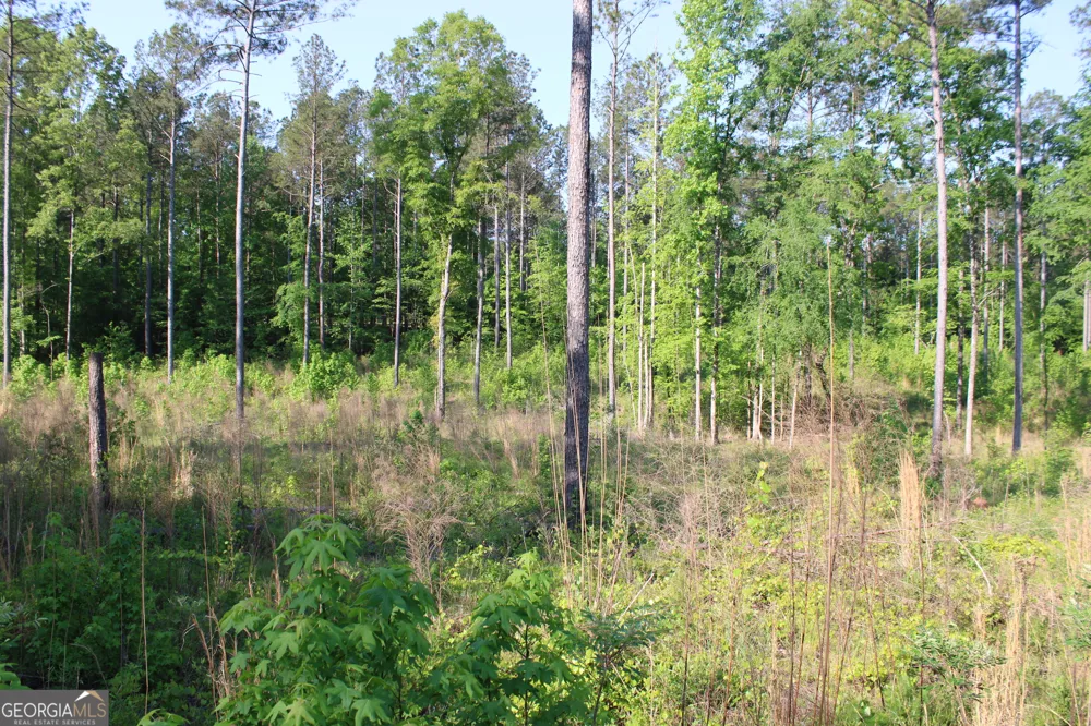 0 Ga Hwy 87 Tract 1 Forsyth, GA 31029