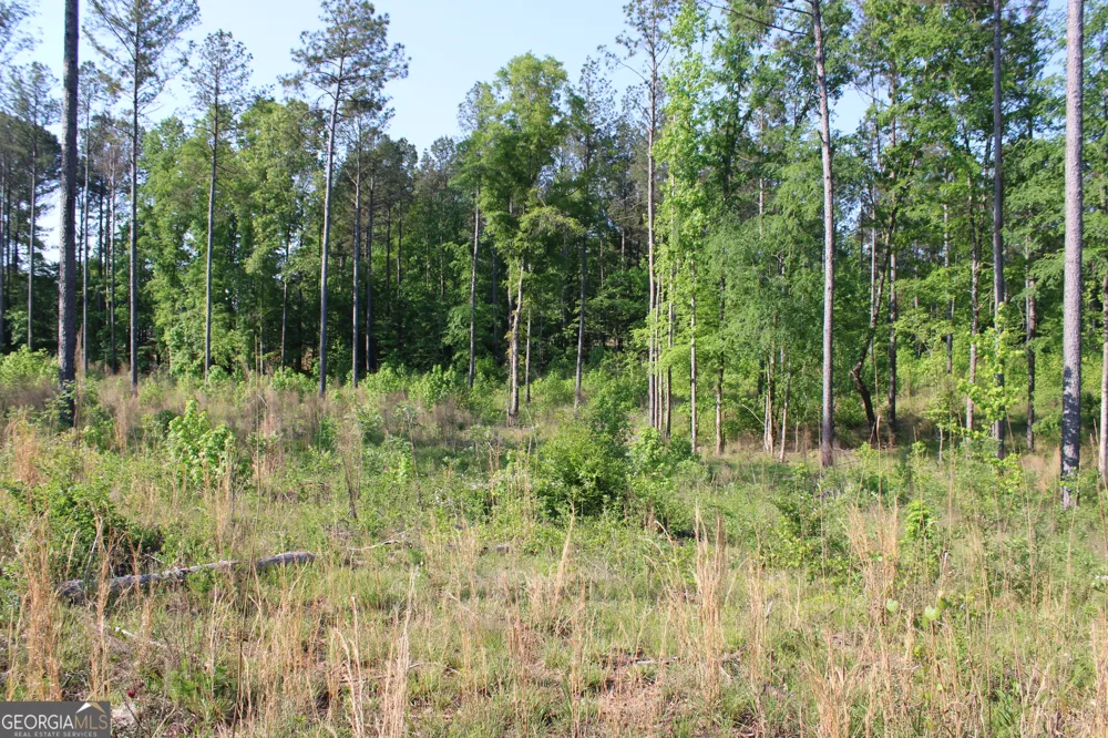 0 Ga Hwy 87 Tract 1 Forsyth, GA 31029