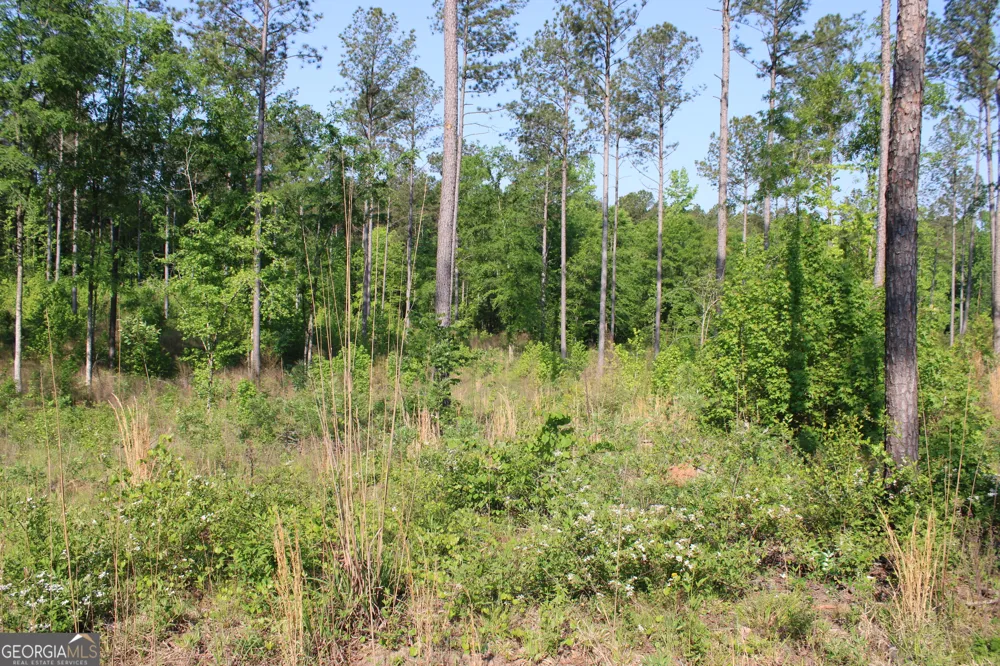 0 Ga Hwy 87 Tract 1 Forsyth, GA 31029