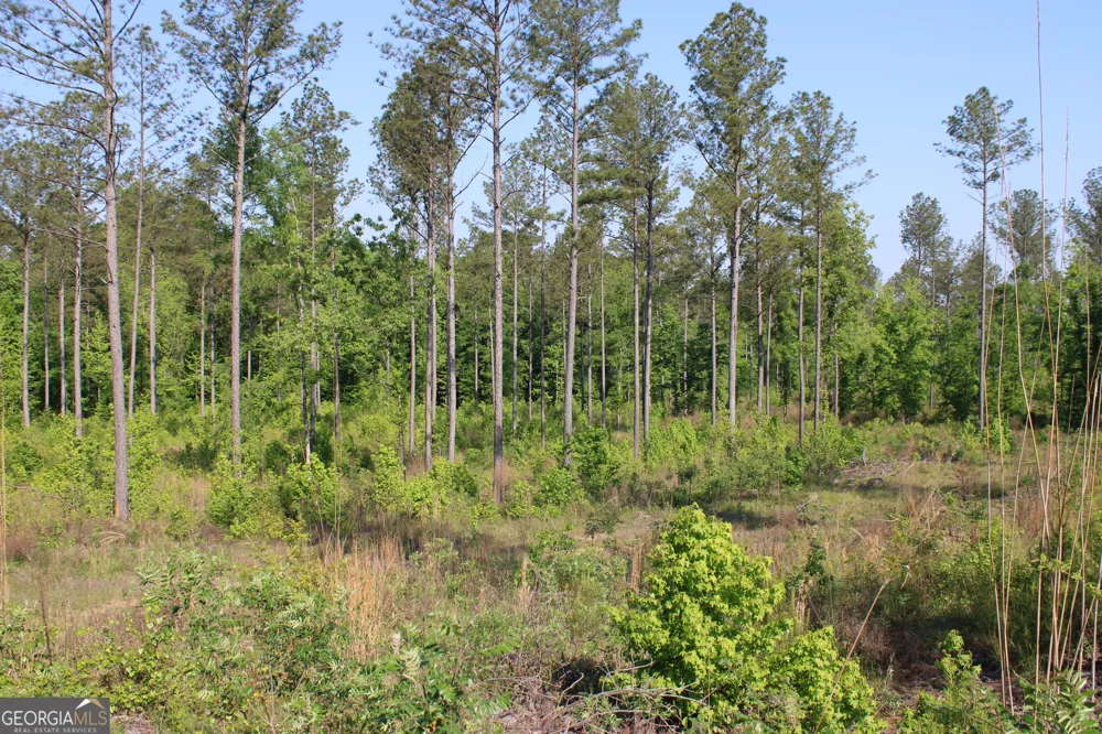 0 Ga Hwy 87 Tract 1 Forsyth, GA 31029