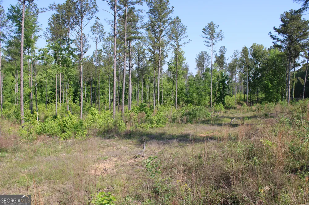 0 Ga Hwy 87 Tract 1 Forsyth, GA 31029
