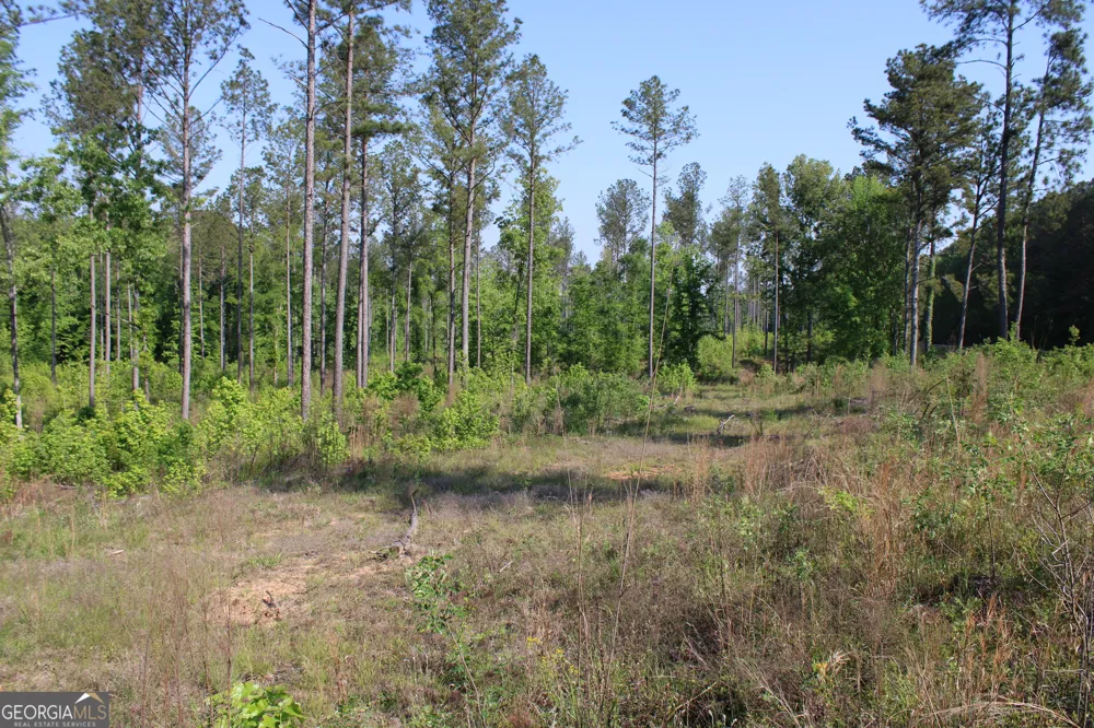 0 Ga Hwy 87 Tract 1 Forsyth, GA 31029