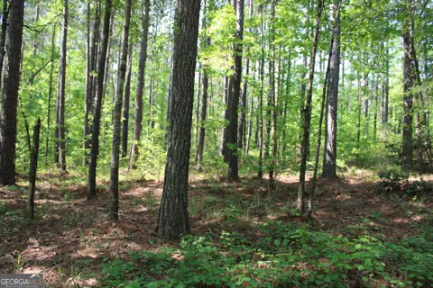 0 Hwy 87 Tract 2