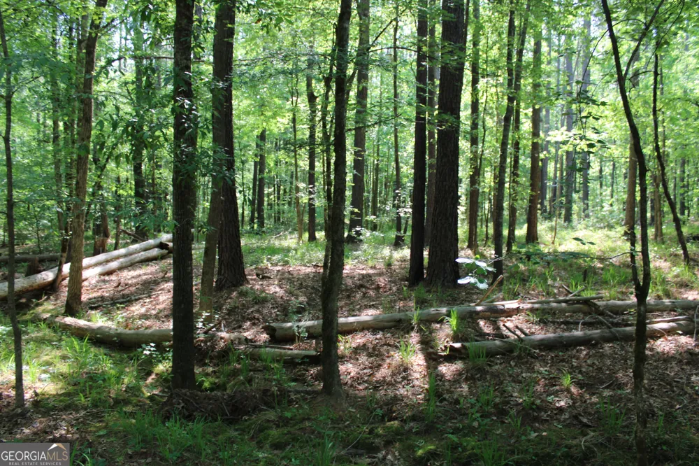 0 Hwy 87 Tract 2 Forsyth, GA 31029