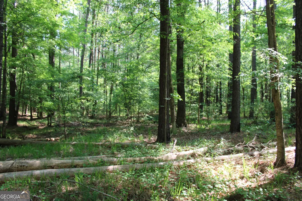 0 Hwy 87 Tract 2 Forsyth, GA 31029
