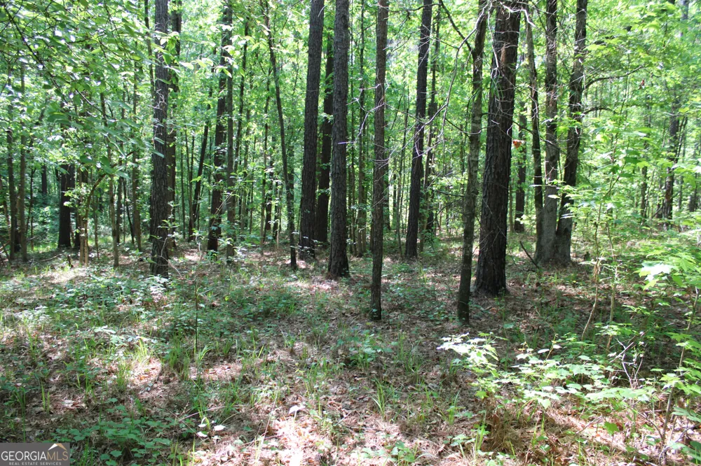 0 Hwy 87 Tract 2 Forsyth, GA 31029