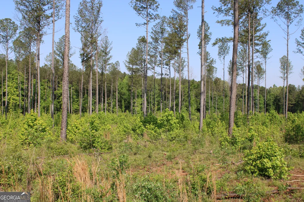0 Hwy 87 Tract 2 Forsyth, GA 31029