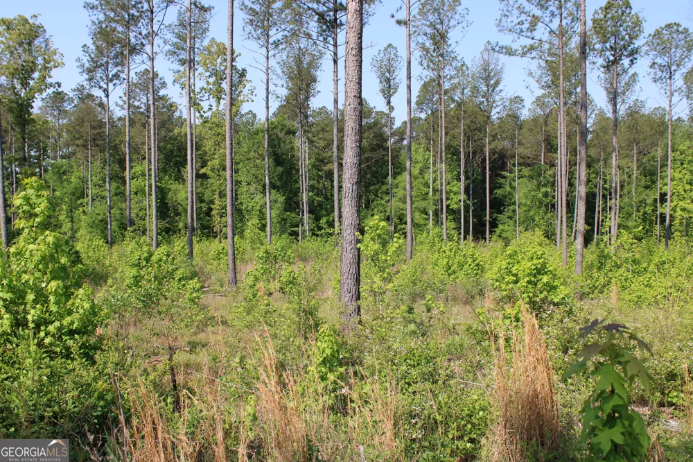 0 Hwy 87 Tract 2 Forsyth, GA 31029