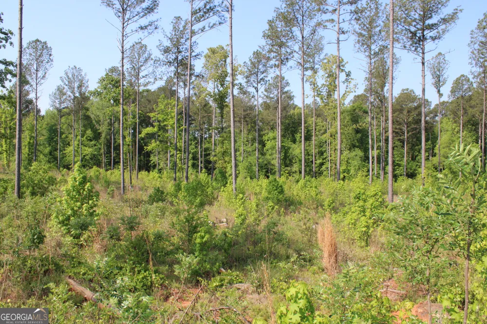 0 Hwy 87 Tract 2 Forsyth, GA 31029